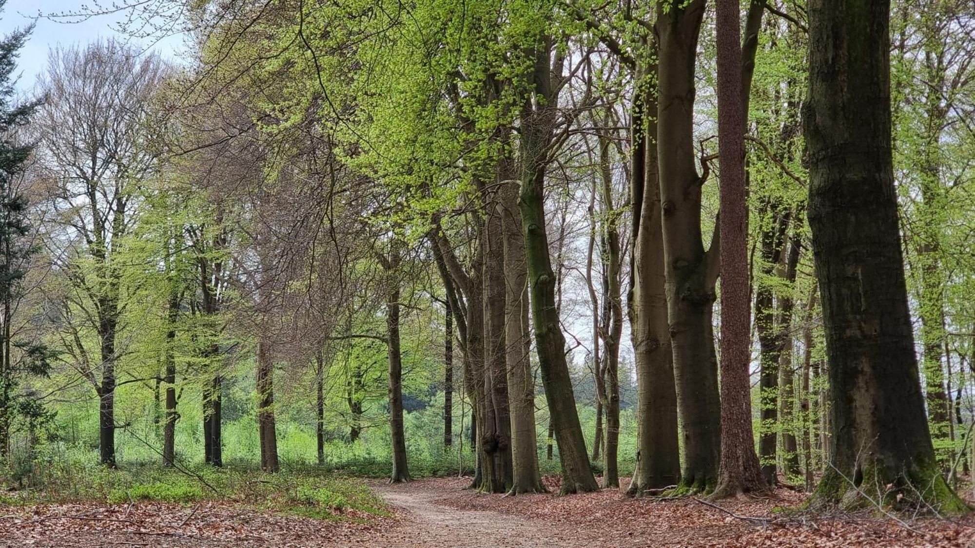 Het Gasthuys 3* Amerongen